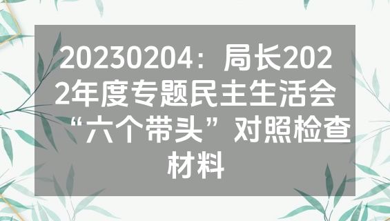 20230204：局长2022年度专题民主生活会“六个带头”对照检查材料