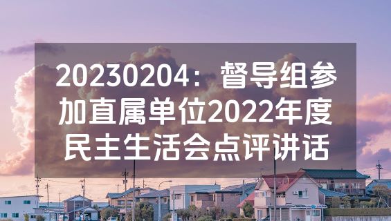 20230204：督导组参加直属单位2022年度民主生活会点评讲话