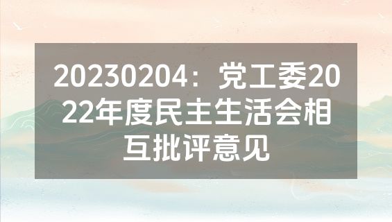 20230204：党工委2022年度民主生活会相互批评意见