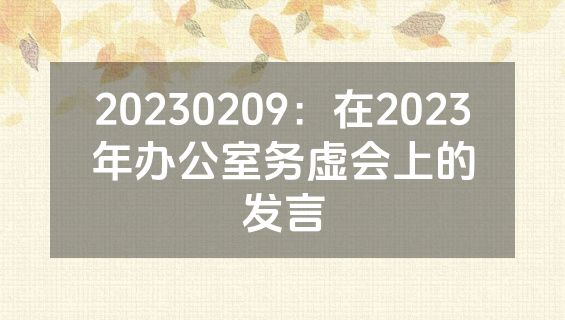 20230209：在2023年办公室务虚会上的发言