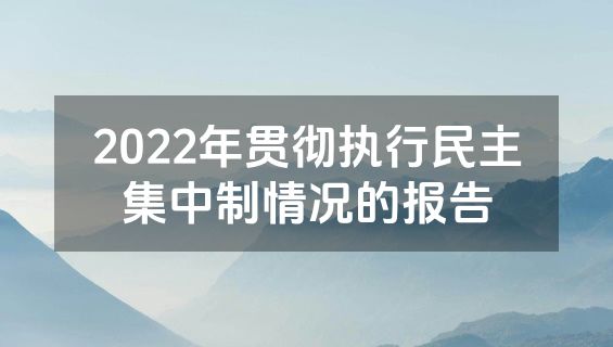 2022年贯彻执行民主集中制情况的报告