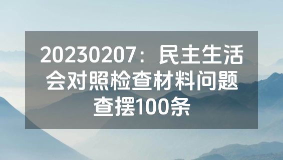 20230207：民主生活会对照检查材料问题查摆100条