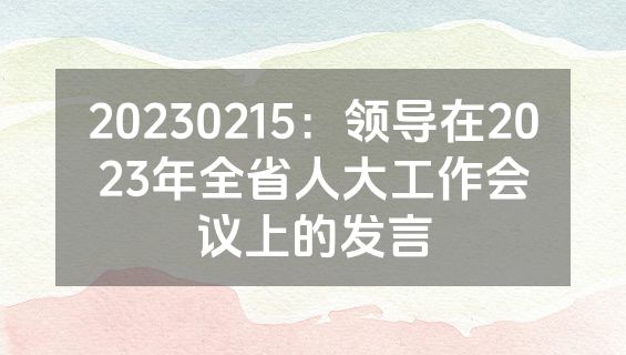 20230215：领导在2023年全省人大工作会议上的发言