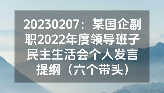 20230207：某国企副职2022年度领导班子民主生活会个人发言提纲（六个带头）