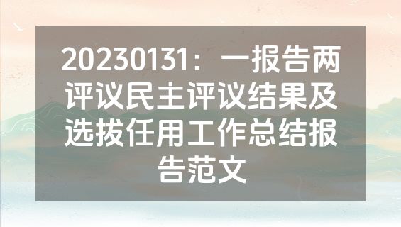 20230131：一报告两评议民主评议结果及选拔任用工作总结报告范文