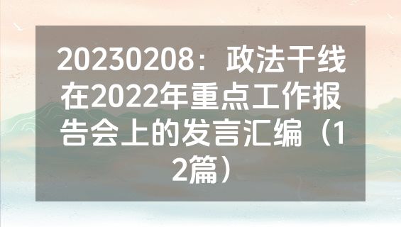 20230208：政法干线在2022年重点工作报告会上的发言汇编（12篇）