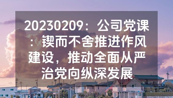 20230209：公司党课：锲而不舍推进作风建设，推动全面从严治党向纵深发展