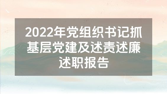 2022年党组织书记抓基层党建及述责述廉述职报告
