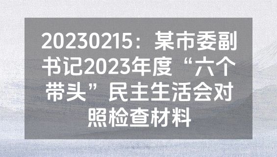 20230215：某市委副书记2023年度“六个带头”民主生活会对照检查材料