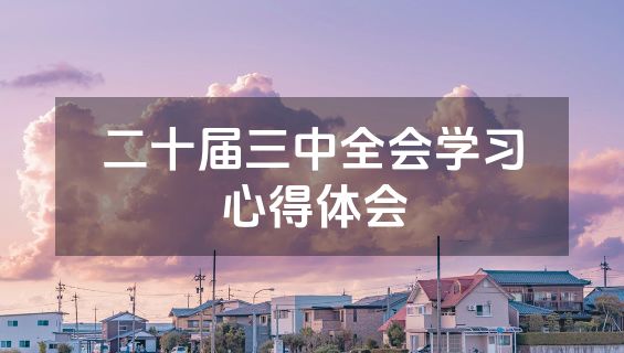 二十届三中全会学习心得体会