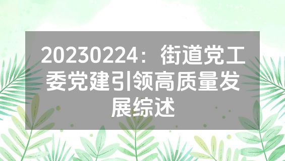 20230224：街道党工委党建引领高质量发展综述