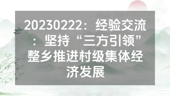 20230222：经验交流：坚持“三方引领”整乡推进村级集体经济发展