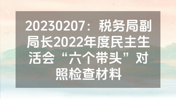 20230207：税务局副局长2022年度民主生活会“六个带头”对照检查材料