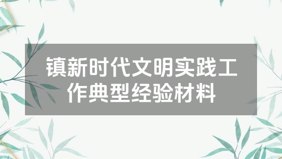 镇新时代文明实践工作典型经验材料