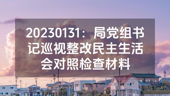 20230131：局党组书记巡视整改民主生活会对照检查材料