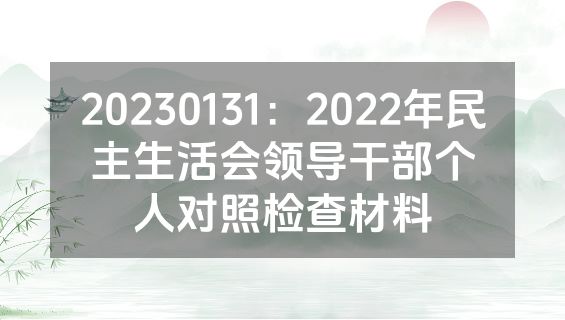 20230131：2022年民主生活会领导干部个人对照检查材料