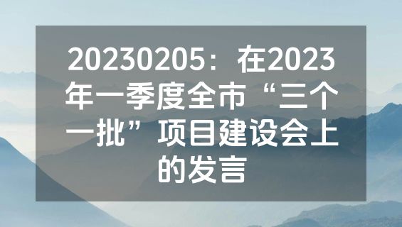 20230205：在2023年一季度全市“三个一批”项目建设会上的发言