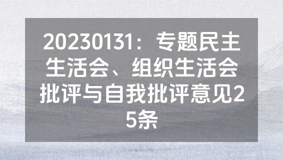 20230131：专题民主生活会、组织生活会批评与自我批评意见25条