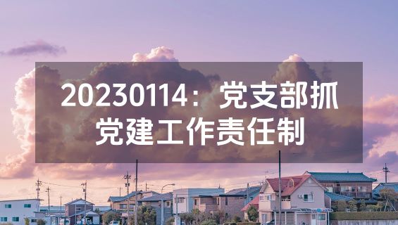20230114：党支部抓党建工作责任制