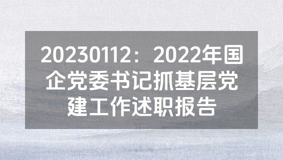 20230112：2022年国企党委书记抓基层党建工作述职报告
