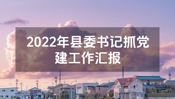 2022年县委书记抓党建工作汇报