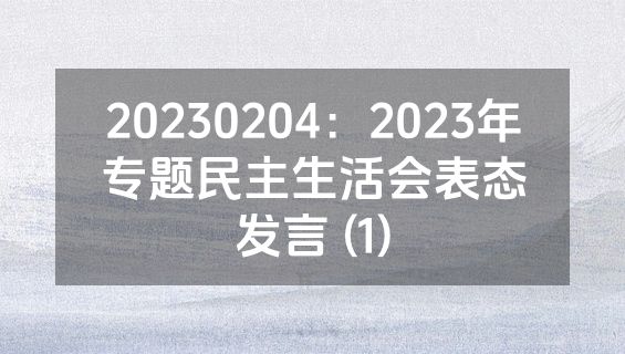20230204：2023年专题民主生活会表态发言 (1)