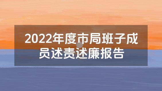 2022年度市局班子成员述责述廉报告