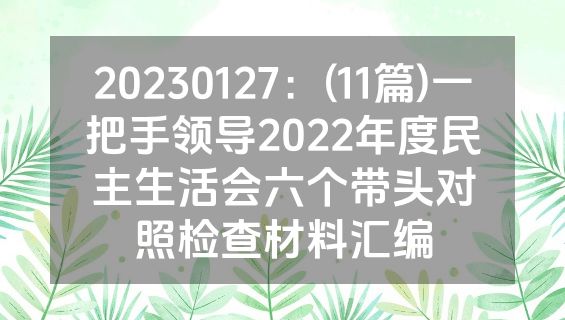 20230127：(11篇)一把手领导2022年度民主生活会六个带头对照检查材料汇编
