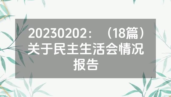 20230202：（18篇）关于民主生活会情况报告