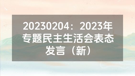 20230204：2023年专题民主生活会表态发言（新）