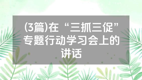 (3篇)在“三抓三促”专题行动学习会上的讲话