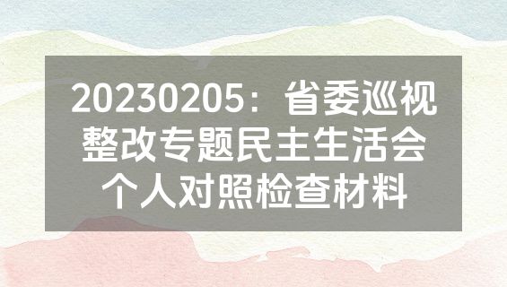 20230205：省委巡视整改专题民主生活会个人对照检查材料