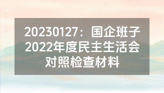 20230127：国企班子2022年度民主生活会对照检查材料