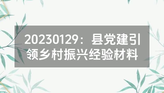 20230129：县党建引领乡村振兴经验材料