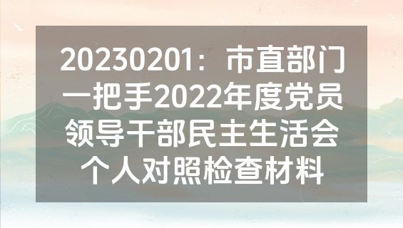 20230201：市直部门一把手2022年度党员领导干部民主生活会个人对照检查材料