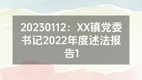 20230112：XX镇党委书记2022年度述法报告1