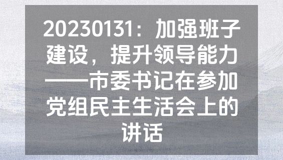 20230131：加强班子建设，提升领导能力——市委书记在参加党组民主生活会上的讲话
