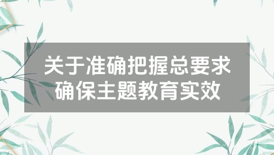 关于准确把握总要求确保主题教育实效