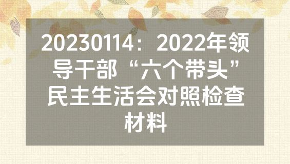 20230114：2022年领导干部“六个带头”民主生活会对照检查材料