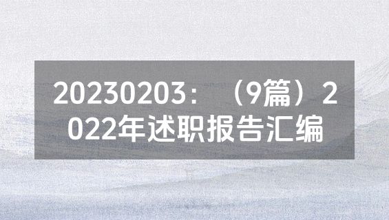 20230203：（9篇）2022年述职报告汇编