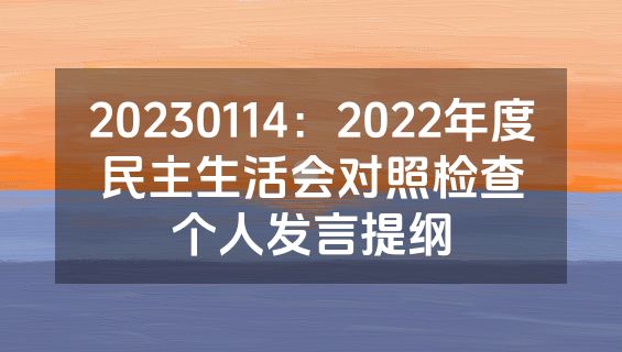 20230114：2022年度民主生活会对照检查个人发言提纲