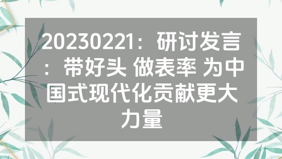 20230221：研讨发言：带好头 做表率 为中国式现代化贡献更大力量