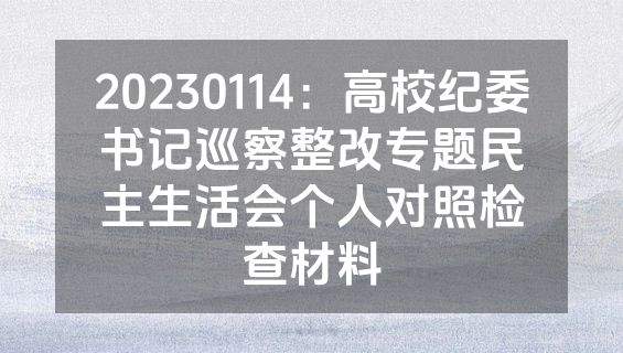 20230114：高校纪委书记巡察整改专题民主生活会个人对照检查材料