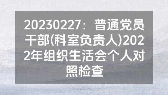 20230227：普通党员干部(科室负责人)2022年组织生活会个人对照检查