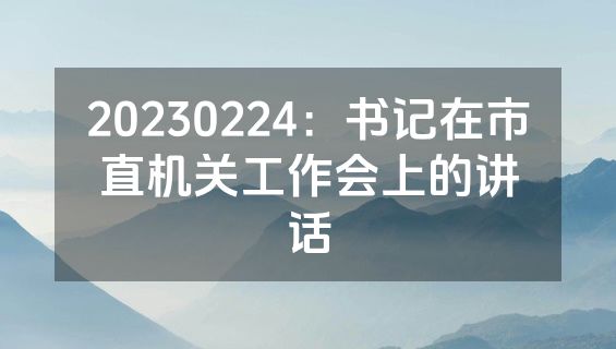 20230224：书记在市直机关工作会上的讲话