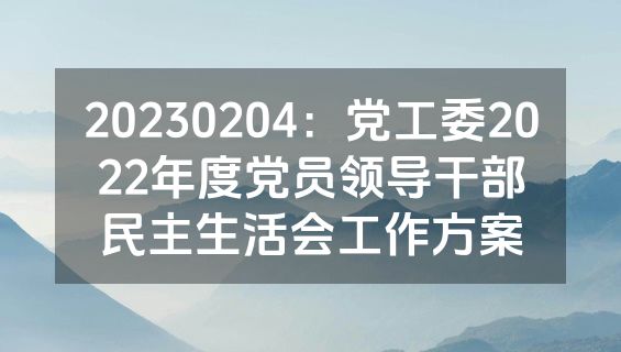 20230204：党工委2022年度党员领导干部民主生活会工作方案