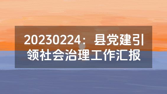 20230224：县党建引领社会治理工作汇报