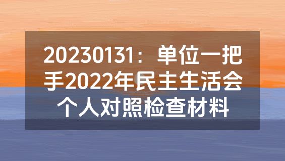 20230131：单位一把手2022年民主生活会个人对照检查材料