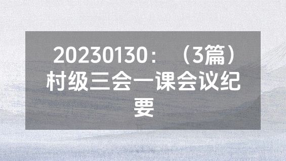 20230130：（3篇）村级三会一课会议纪要