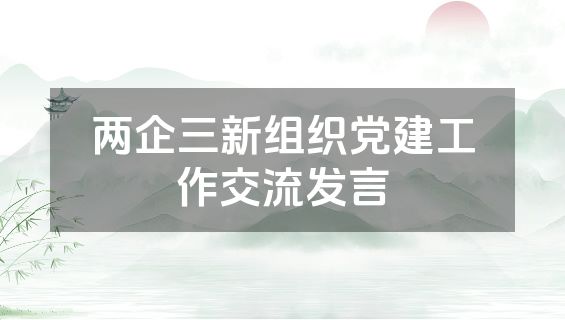 两企三新组织党建工作交流发言